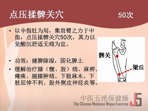 中医五绝保健操点压揉髀关穴50次