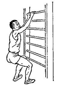 ���������Ҷ�����