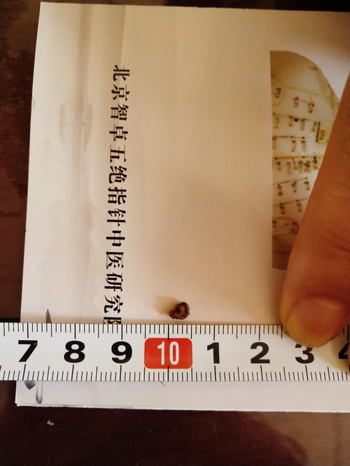 ���ָ���������µ��������ܽ�ʯ