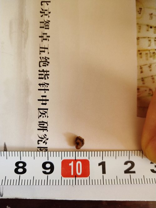 ���ָ���������µ��������ܽ�ʯ