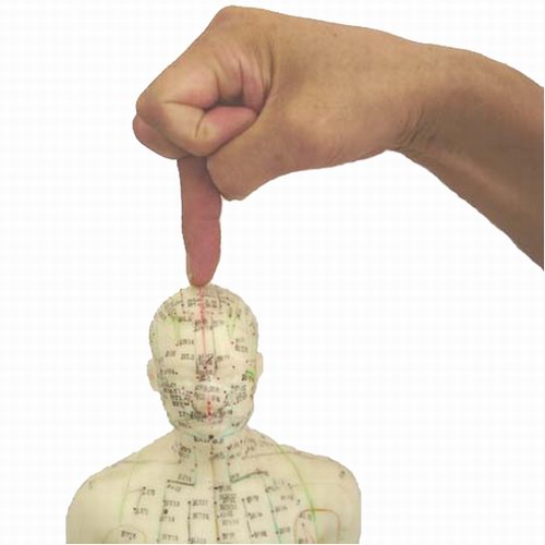 ���ָ�뼼������