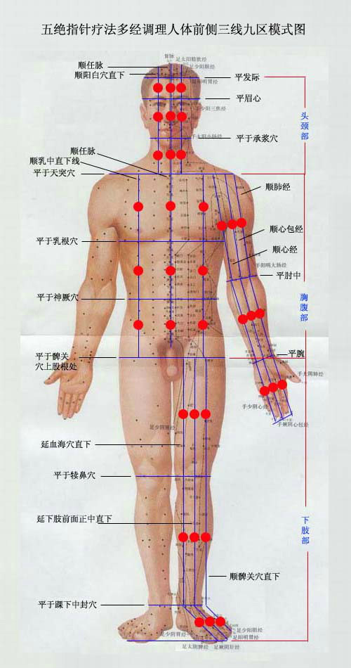 五绝指针疗法三线九区的定位及划分