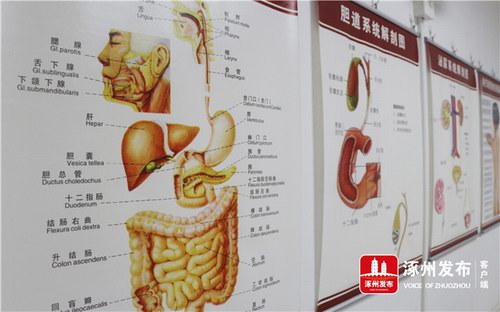 �Ž��棺��ҽ���ָ���Ʒ���Ⱦ��������ɫ��