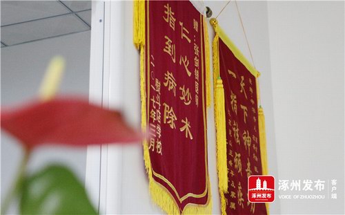 �Ž��棺��ҽ���ָ���Ʒ���Ⱦ��������ɫ��