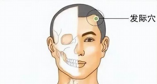 ������Ѩ��������Ѩ